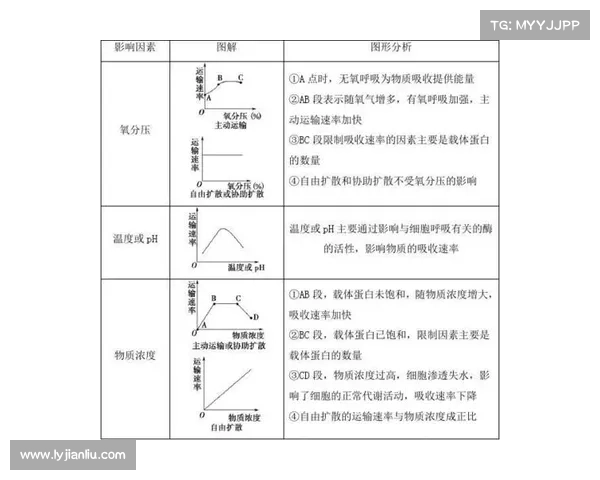 布克三分球命中率分析及其对球队进攻表现的影响